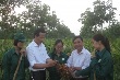 Xen canh bước đầu phát huy hiệu quả